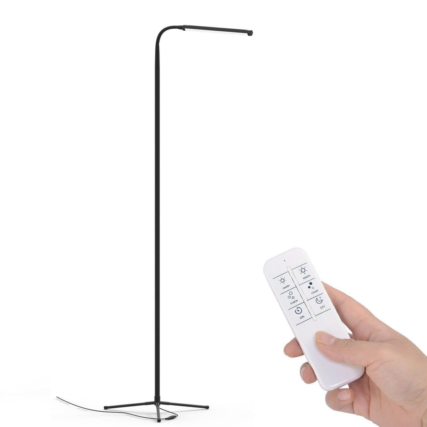 Sleek Floor Lamp